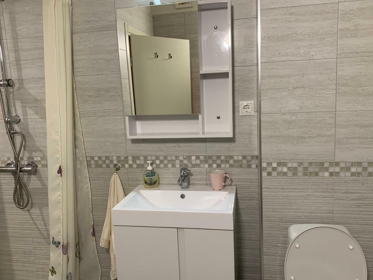 Apartment Viitoshka *